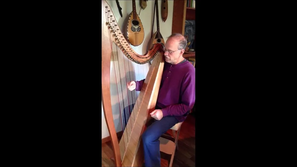Image of harpist David Michael playing the harp.
